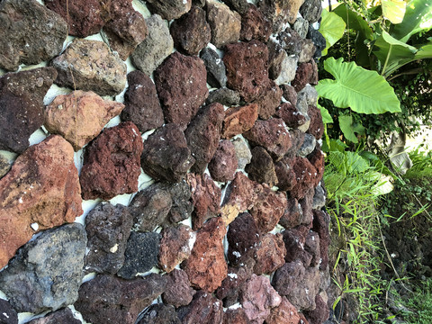 火山石墙和绿植