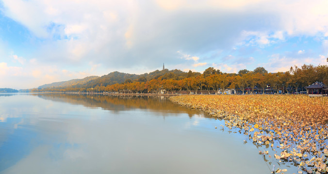 杭州西湖秋景大画幅
