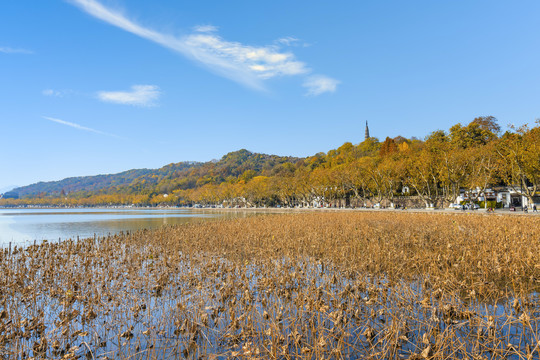 杭州西湖秋景