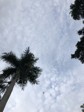天空云彩飞机