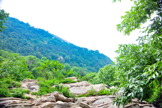 登山观光