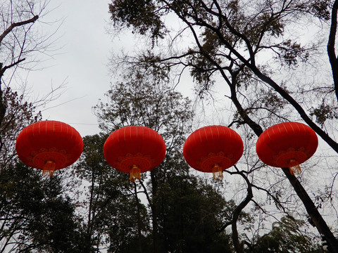 红灯笼高高挂