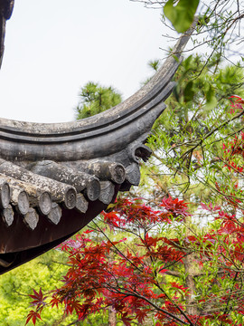 苏州北塔报恩寺