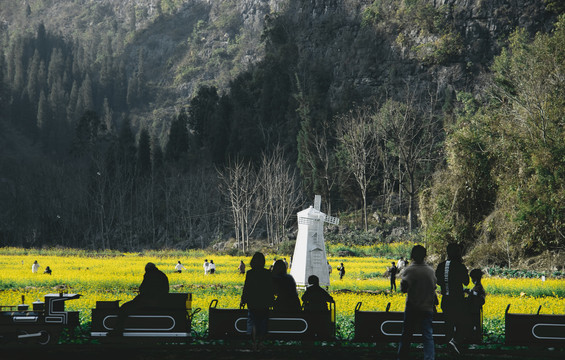 花海万峰林