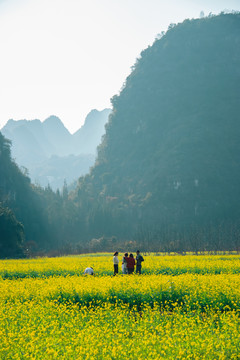 花海万峰林