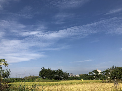 蓝天白云田园风光