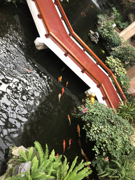 小桥流水鲤鱼