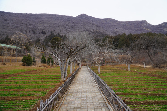 门头沟区谷山村农耕文化园