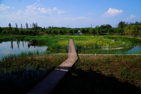 北京温榆河公园朝阳示范区