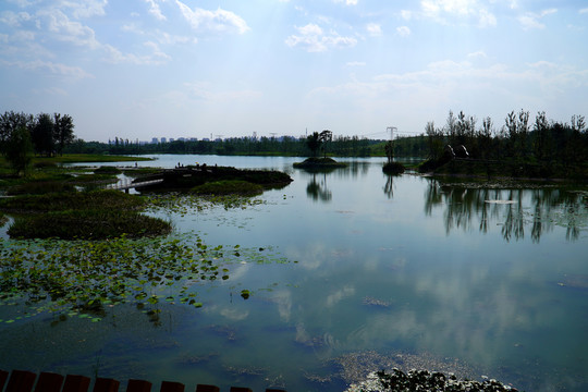 北京温榆河公园朝阳示范区