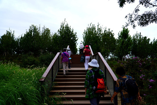 北京温榆河公园朝阳示范区