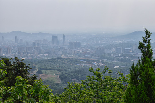 高山