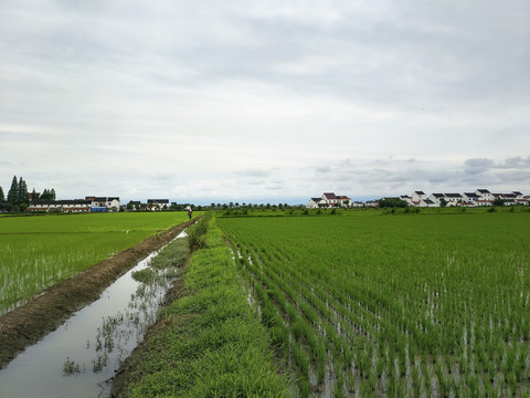 农耕田园