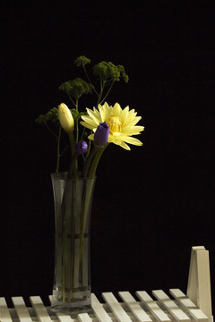 静物摄影花卉插瓶