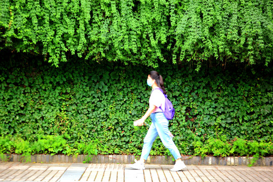 重庆道路绿化景观