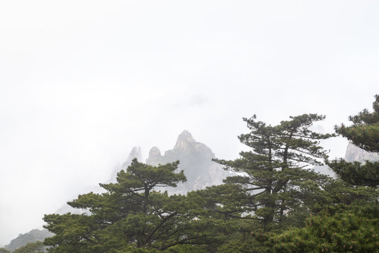 黄山云海