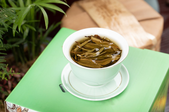 生茶茶汤茶底茶叶