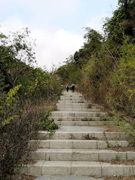 登山阶梯