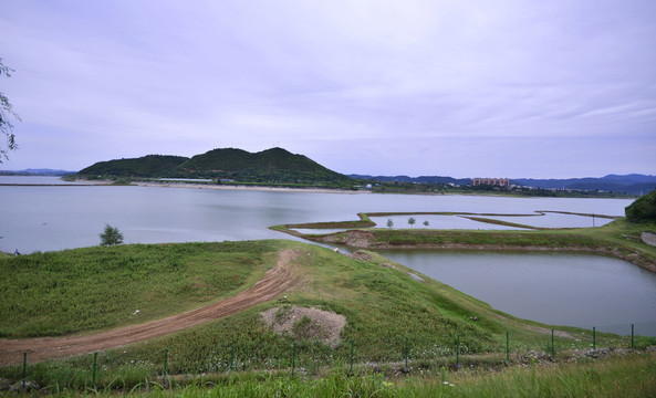 雨后郧阳汉江江岸植被更茂盛