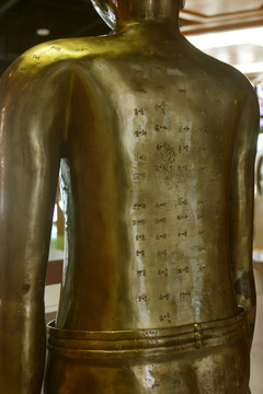 古中医针灸铜人背部经络穴位
