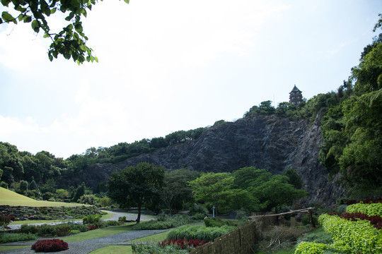 辰山植物园矿坑花园