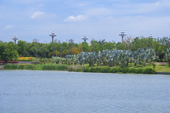 湖滨园林风景