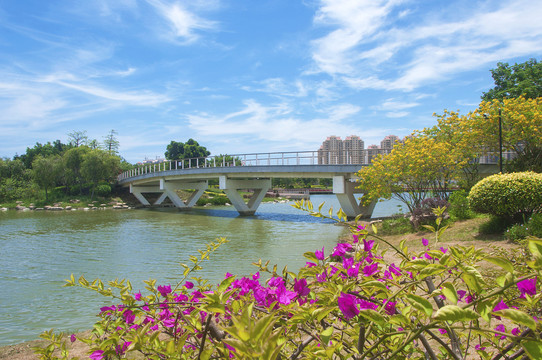 公园桥与水还有花