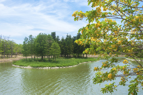 水边园林风景