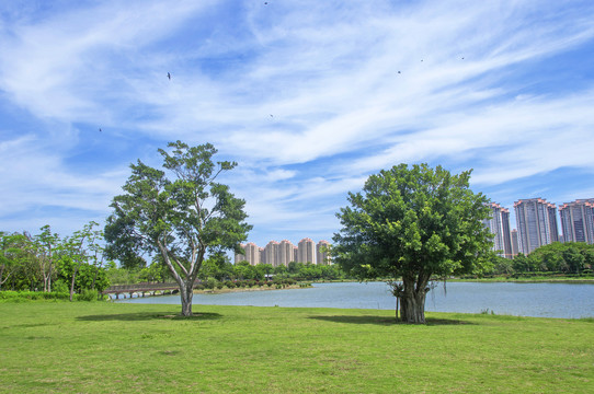 魅力园林城市空间