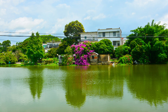 鱼塘村落