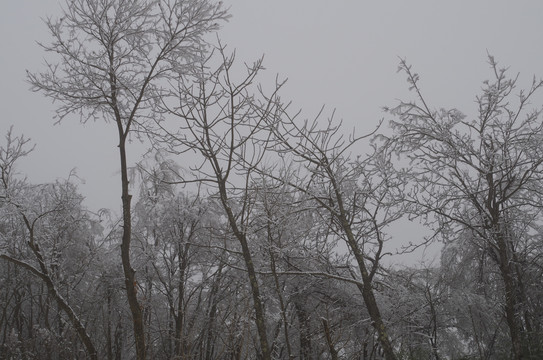 冰天雪