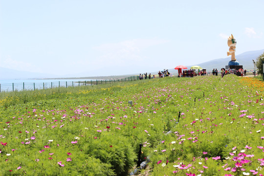 花海