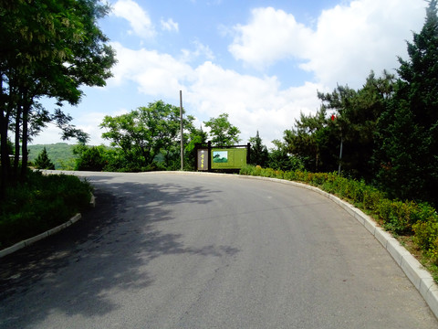 弯道公路