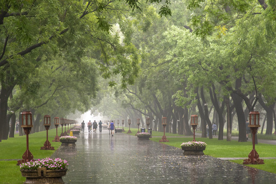北京天坛公园道路景观