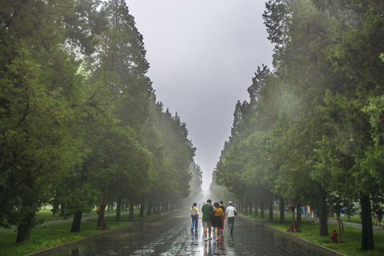 北京天坛公园道路景观