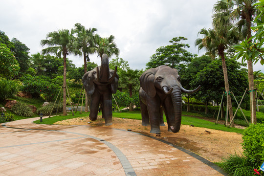 南宁园博园老挝万象市园双象雕塑