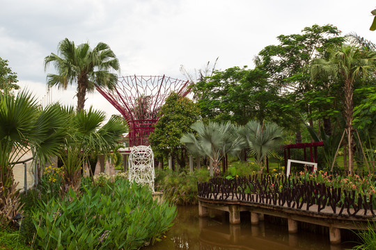 南宁园博园新加坡园植物园