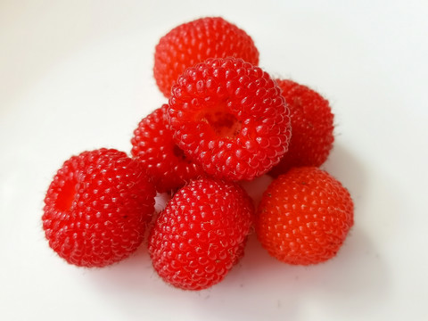 覆盆子野草莓
