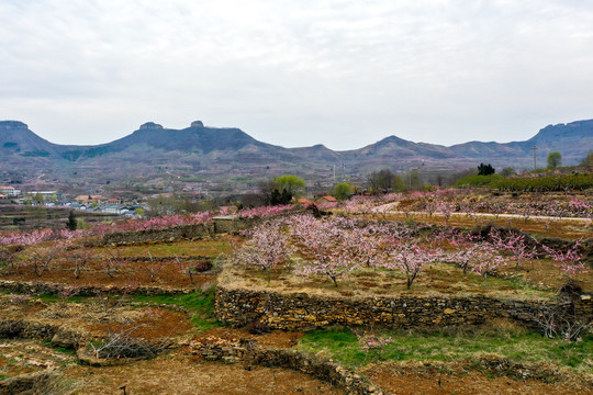 山东岱崮