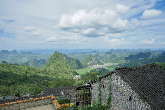 乡村风景