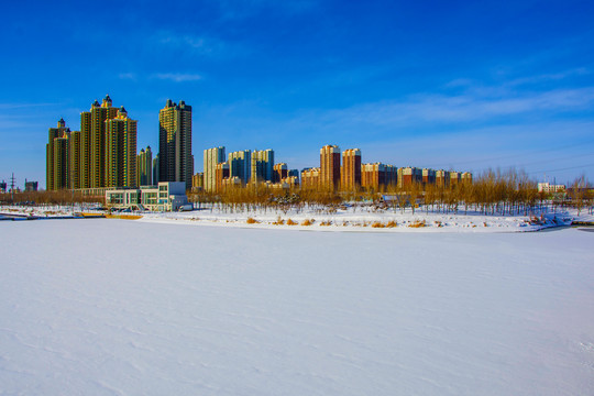 高层建筑群白楼树林与河道雪地