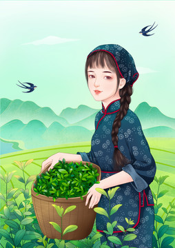 手绘采茶女