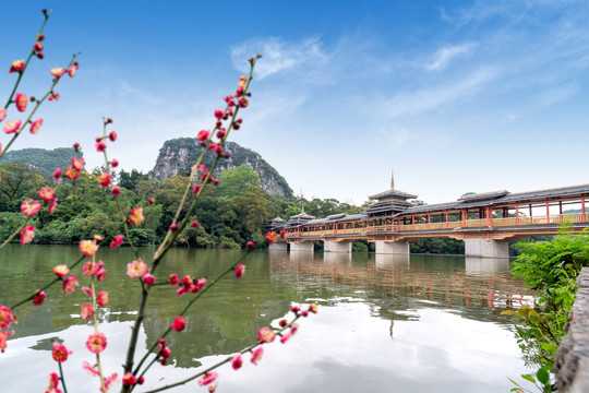 广西柳州龙潭公园风雨桥