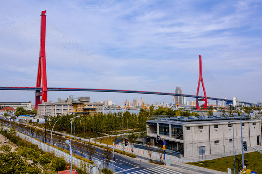 杨浦大桥