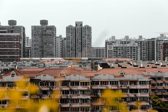 杨浦区