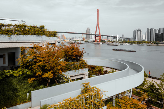 杨浦大桥