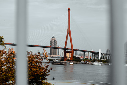杨浦大桥