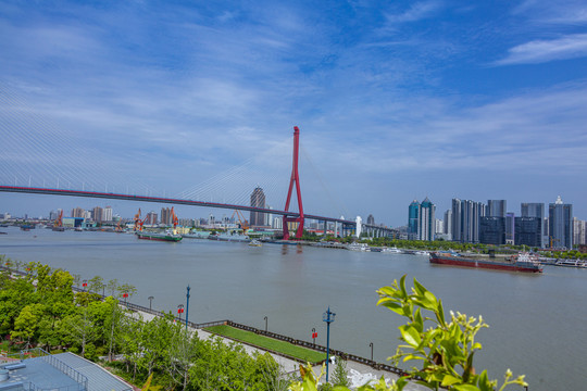 杨浦大桥