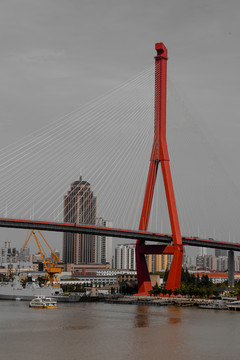 杨浦大桥
