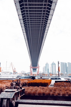 杨浦大桥